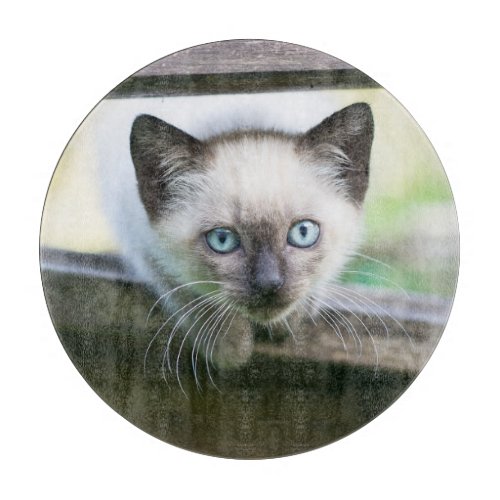 Cutest Baby Animals  Siamese Kitten 2 Cutting Board