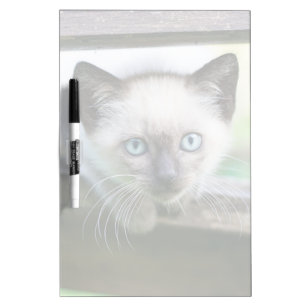 Cutest Baby Animals   Siamese Kitten 2 Dry Erase Board