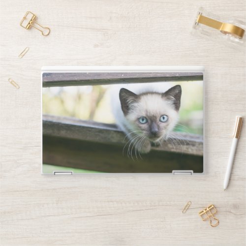 Cutest Baby Animals  Siamese Kitten 2 HP Laptop Skin