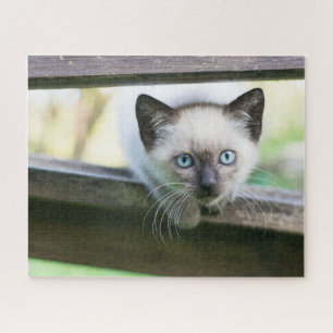 Cutest Baby Animals   Siamese Kitten 2 Jigsaw Puzzle