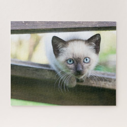 Cutest Baby Animals  Siamese Kitten 2 Jigsaw Puzzle