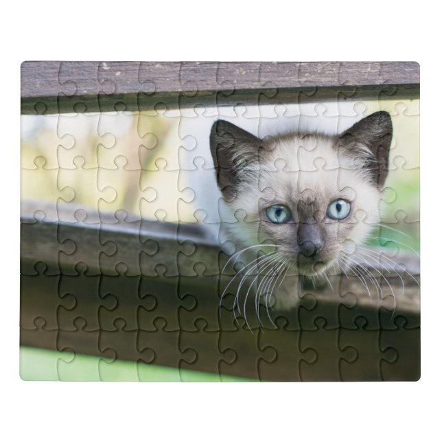 Cutest Baby Animals | Siamese Kitten 2 Jigsaw Puzzle (Puzzle Horizontal)