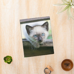 Cutest Baby Animals Siamese Kitten 2 Mini Binder
