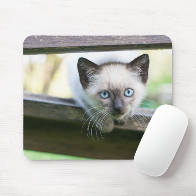 Cutest Baby Animals | Siamese Kitten 2 Mouse Pad (With Mouse)