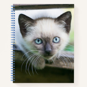 Cutest Baby Animals Siamese Kitten 2 Notebook