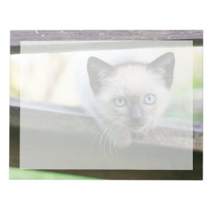 Cutest Baby Animals   Siamese Kitten 2 Notepad