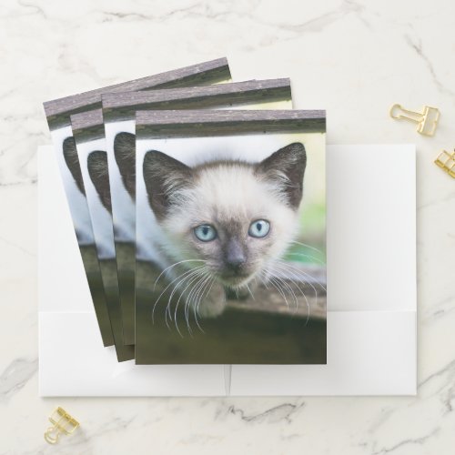 Cutest Baby Animals  Siamese Kitten 2 Pocket Folder