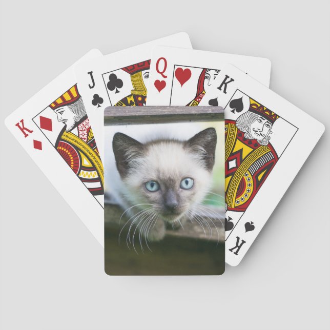 Cutest Baby Animals | Siamese Kitten 2 Poker Cards (Back)