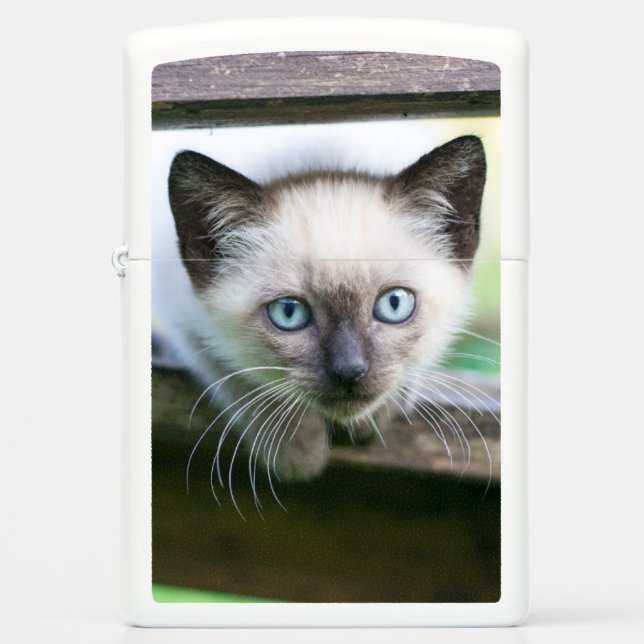 Cutest Baby Animals | Siamese Kitten 2 Zippo Lighter (Front)
