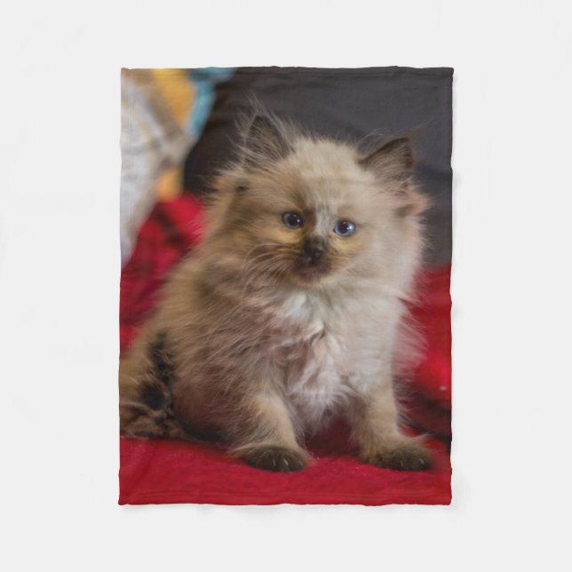 Cutest Baby Animals | Siamese Kitten Fleece Blanket (Front)