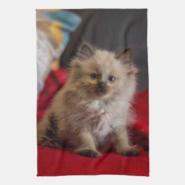 Cutest Baby Animals | Siamese Kitten Kitchen Towel (Vertical)