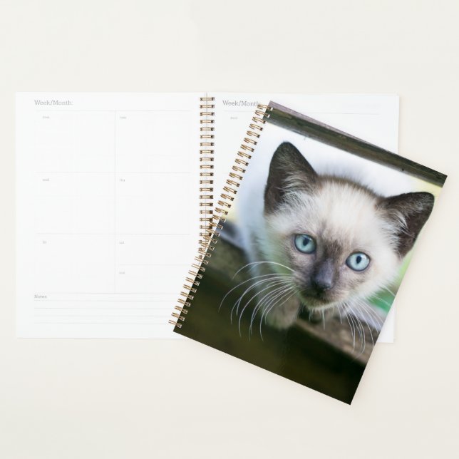 Cutest Baby Animals | Siamese Kitten Planner (Display)