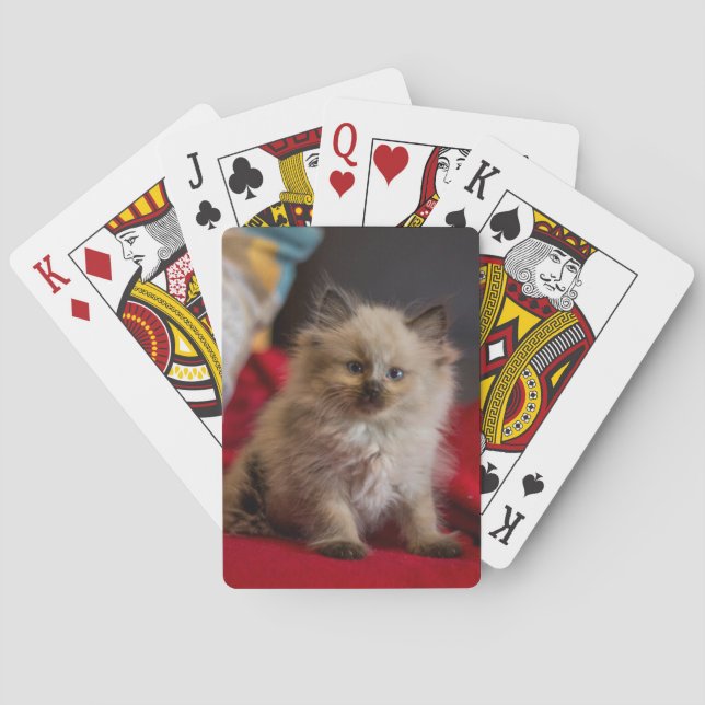 Cutest Baby Animals | Siamese Kitten Poker Cards (Back)