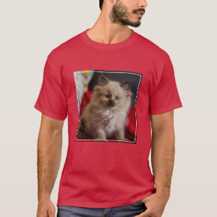 Cutest Baby Animals Siamese Kitten T-Shirt