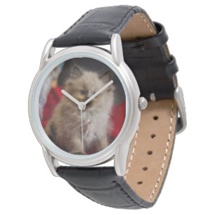 Cutest Baby Animals   Siamese Kitten Watch