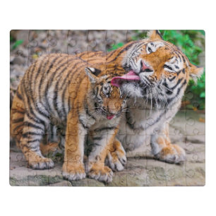 Cutest Baby Animals   Siberian Tiger Family Jigsaw Puzzle