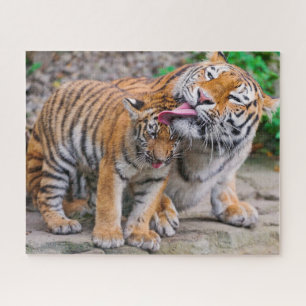 Cutest Baby Animals Siberian Tiger Family Jigsaw Puzzle