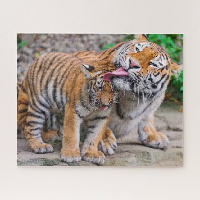 Cutest Baby Animals | Siberian Tiger Family Jigsaw Puzzle (Horizontal)
