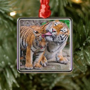 Cutest Baby Animals Siberian Tiger Family Metal Ornament