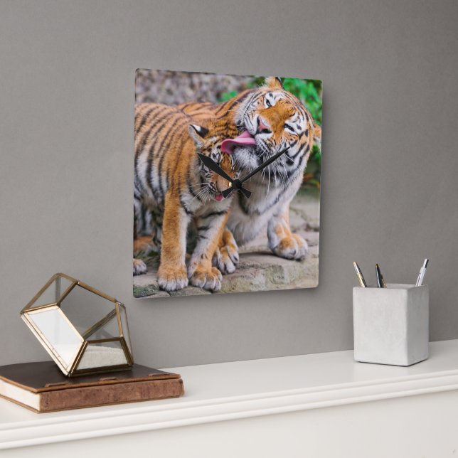 Cutest Baby Animals | Siberian Tiger Family Square Wall Clock (Office)