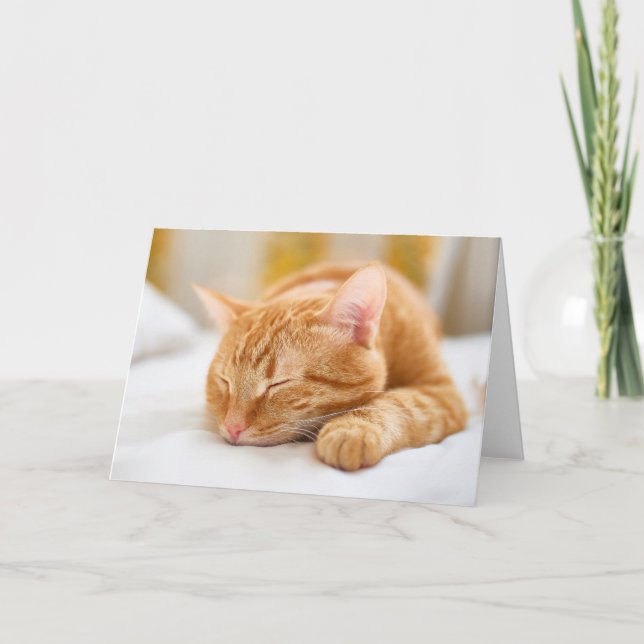 Cutest Baby Animals | Sleeping Ginger Cat Card (Front)