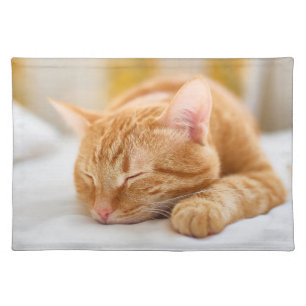 Cutest Baby Animals Sleeping Ginger Cat Cloth Placemat