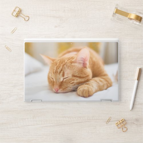 Cutest Baby Animals  Sleeping Ginger Cat HP Laptop Skin