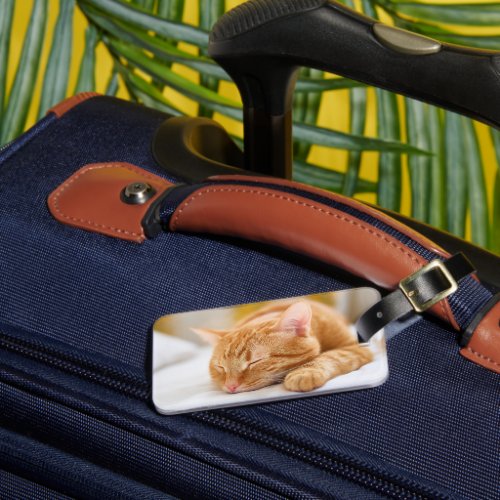 Cutest Baby Animals  Sleeping Ginger Cat Luggage Tag