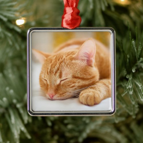 Cutest Baby Animals  Sleeping Ginger Cat Metal Ornament