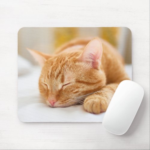Cutest Baby Animals  Sleeping Ginger Cat Mouse Pad