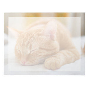 Cutest Baby Animals Sleeping Ginger Cat Notepad