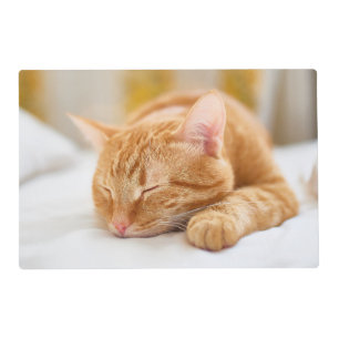 Cutest Baby Animals   Sleeping Ginger Cat Placemat