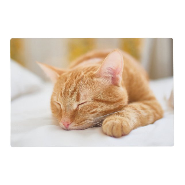 Cutest Baby Animals | Sleeping Ginger Cat Placemat (Front)