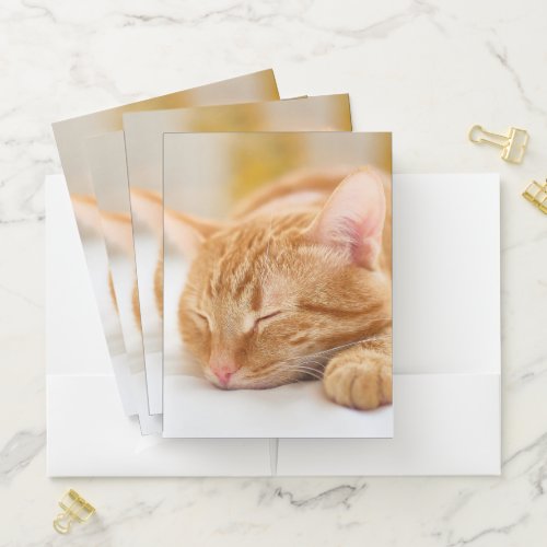 Cutest Baby Animals  Sleeping Ginger Cat Pocket Folder