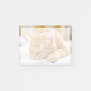 Cutest Baby Animals   Sleeping Ginger Cat Post-it Notes