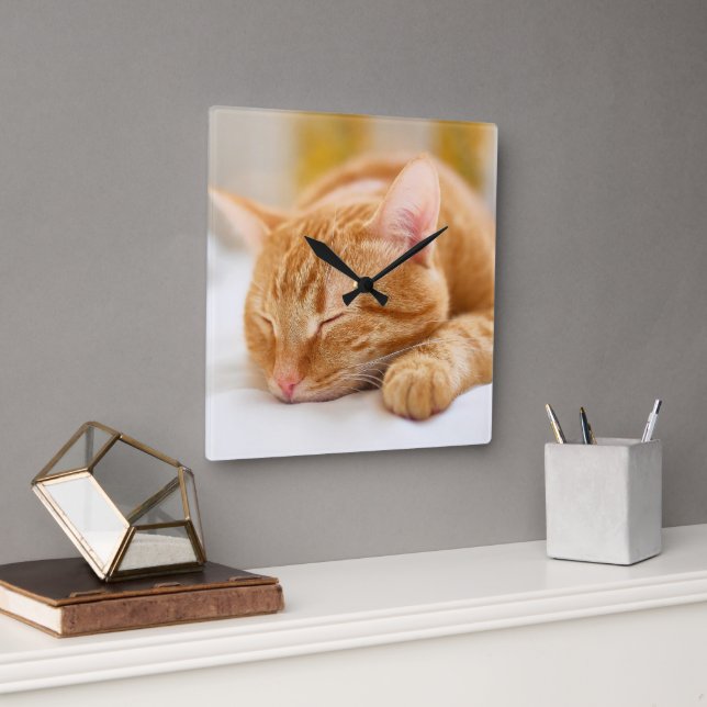 Cutest Baby Animals | Sleeping Ginger Cat Square Wall Clock (Office)