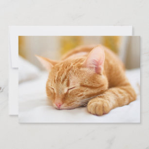 Cutest Baby Animals Sleeping Ginger Cat Thank You Card