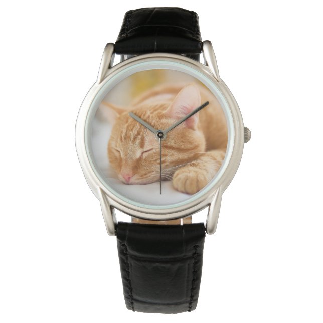 Cutest Baby Animals | Sleeping Ginger Cat Watch (Front)