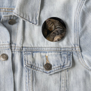 Cutest Baby Animals Sleeping Tabby Cat Button