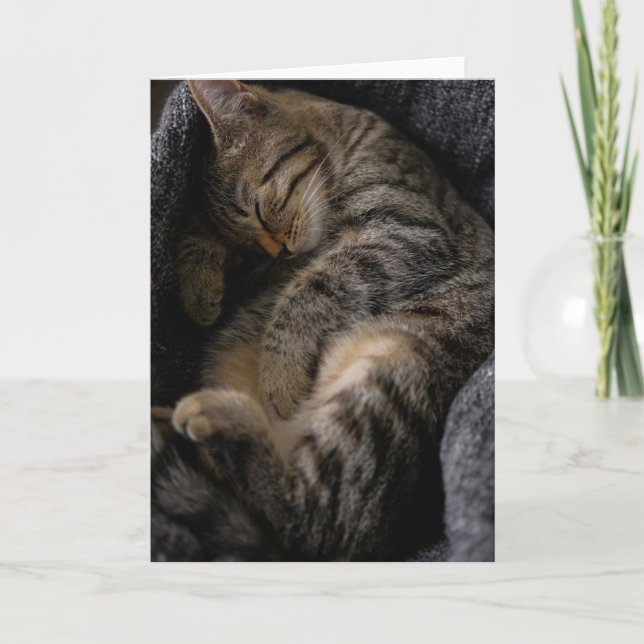 Cutest Baby Animals | Sleeping Tabby Cat Card (Front)