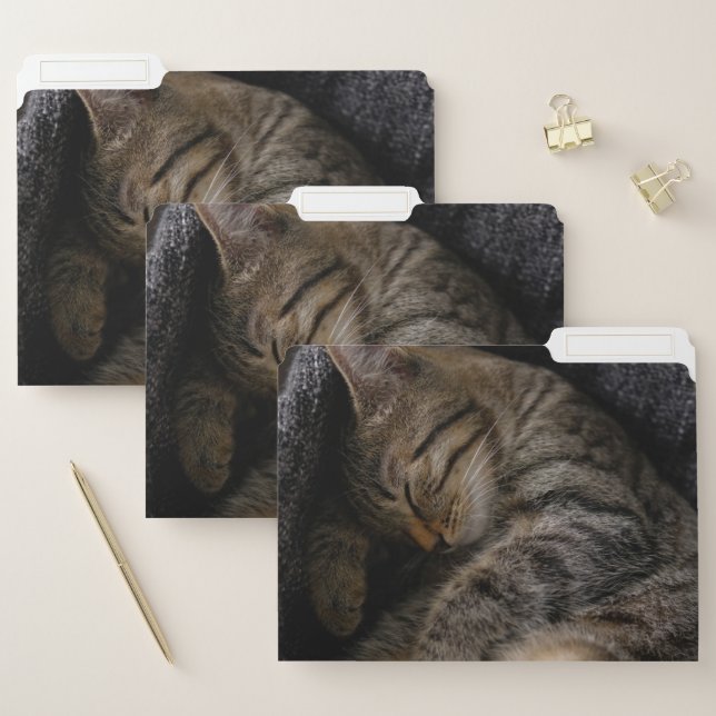 Cutest Baby Animals | Sleeping Tabby Cat File Folder (Set)