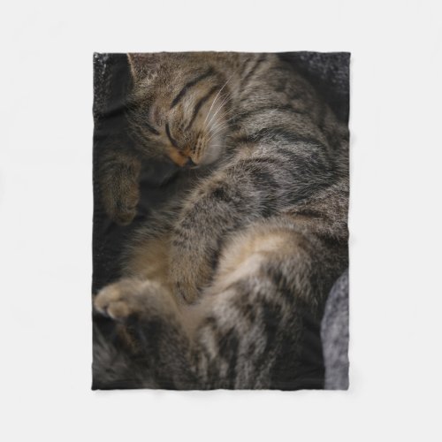 Cutest Baby Animals  Sleeping Tabby Cat Fleece Blanket
