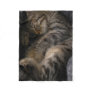 Cutest Baby Animals | Sleeping Tabby Cat Fleece Blanket