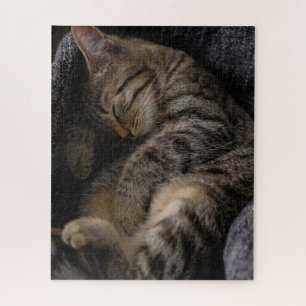 Cutest Baby Animals Sleeping Tabby Cat Jigsaw Puzzle