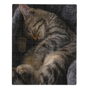 Cutest Baby Animals   Sleeping Tabby Cat Jigsaw Puzzle