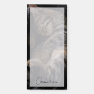 Cutest Baby Animals   Sleeping Tabby Cat Magnetic Notepad
