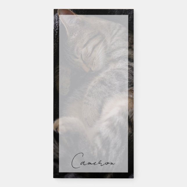 Cutest Baby Animals | Sleeping Tabby Cat Magnetic Notepad (Front)