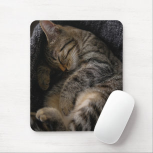 Cutest Baby Animals Sleeping Tabby Cat Mouse Pad