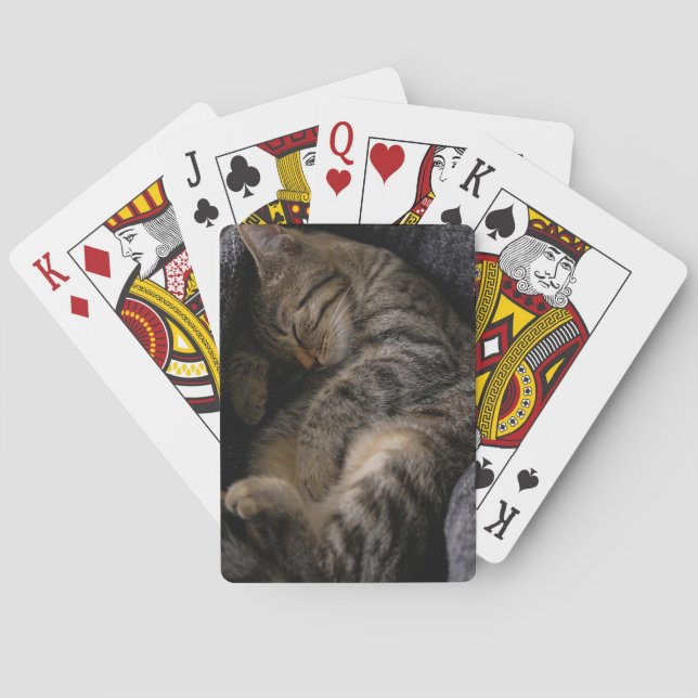 Cutest Baby Animals | Sleeping Tabby Cat Poker Cards (Back)