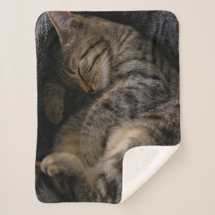 Cutest Baby Animals   Sleeping Tabby Cat Sherpa Blanket